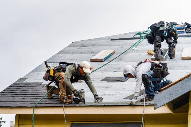 Professional Gutter Installation technician working in Morton, MN